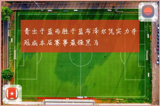 青出于蓝而胜于蓝布泽尔凭实力夺冠成本届赛事最强黑马