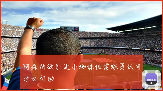 阿森纳欲引进小蜘蛛但需球员认可才会行动
